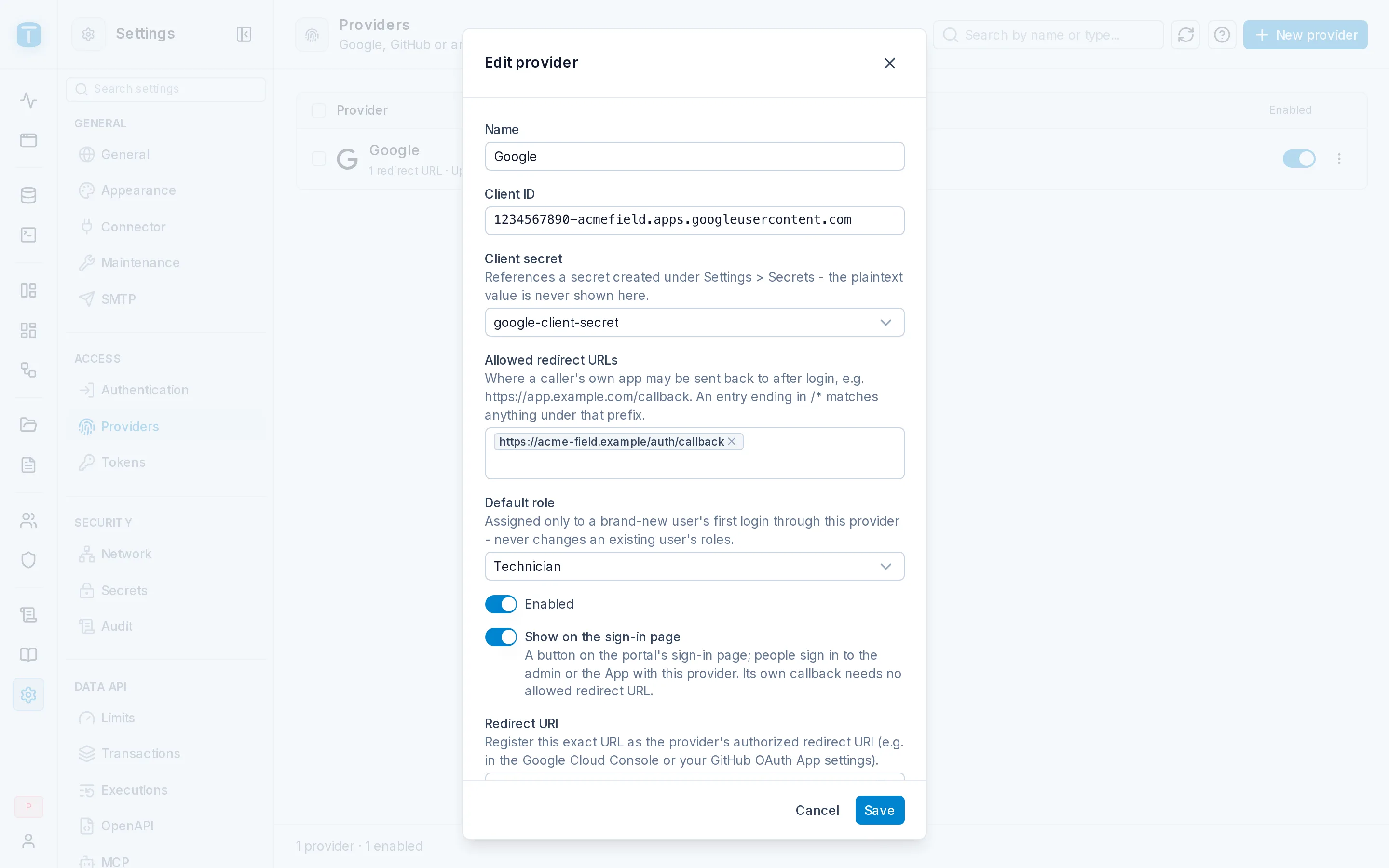A Google provider: client ID, secret, allowed redirect URLs and default role.